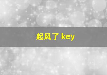 起风了 key